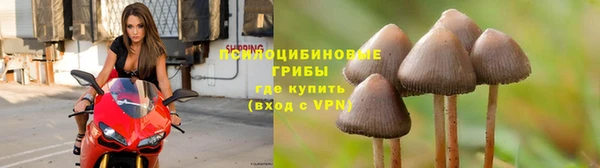 каннабис Володарск
